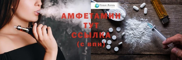 ПСИЛОЦИБИНОВЫЕ ГРИБЫ Абаза