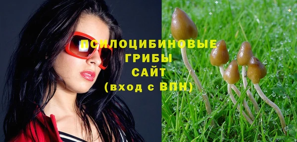 гашиш Алзамай