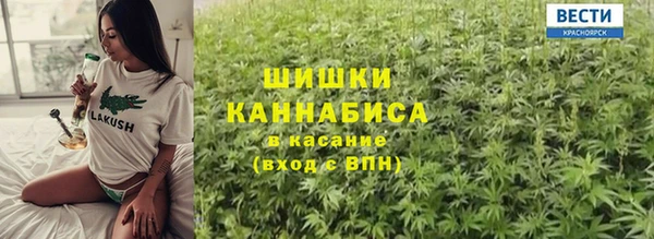 ПСИЛОЦИБИНОВЫЕ ГРИБЫ Абаза