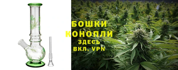 ПСИЛОЦИБИНОВЫЕ ГРИБЫ Абаза