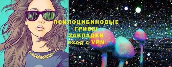 ПСИЛОЦИБИНОВЫЕ ГРИБЫ Абаза